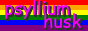 88x31 badge. '88x31 badge. blinking text 'psyllium husk' on rainbow background